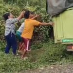 Truk Mie Instan Terperosok di Banyuasin, Warga Ramai-Ramai Menjarah
