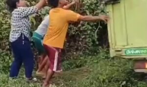 Truk Mie Instan Terperosok di Banyuasin, Warga Ramai-Ramai Menjarah