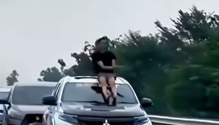 Joget Pacu Jalur di Atas Kap Mobil di Jalan Tol, Pemuda Lampung Ditilang Polisi