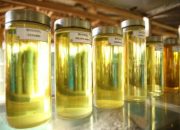 Kejar E20, Produksi Bioetanol Lampung Ditargetkan 60 Ribu Kl
