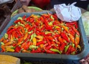 Harga Pangan Meroket, Cabai Tembus Rp122.500 hingga Daging Rp167.500 per Kg