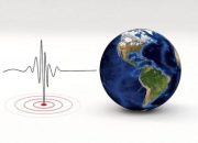 Gempa M4,9 Guncang Sarmi Papua, BMKG: Tidak Berpotensi Tsunami