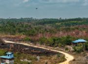 IKN Dikepung Karhutla, Bagaimana Kondisi Kawasan Inti Pusat Pemerintahan?