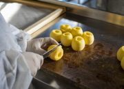 Industri Famp;amp;B RI Tumbuh 6,38 Persen, Pasar Kuliner Makin Bergeser ke Digital