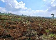 HGB Bisa Jadi SHM, Begini Aturan dan Syaratnya di Tengah Kasus Summarecon